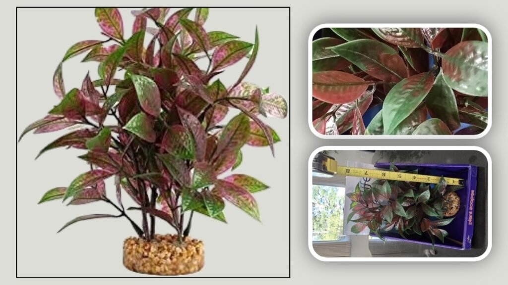  Fluval Aqualife Ludwigia Aquarium Decoration