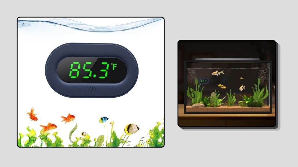  PAIZOO Digital Aquarium Thermometer