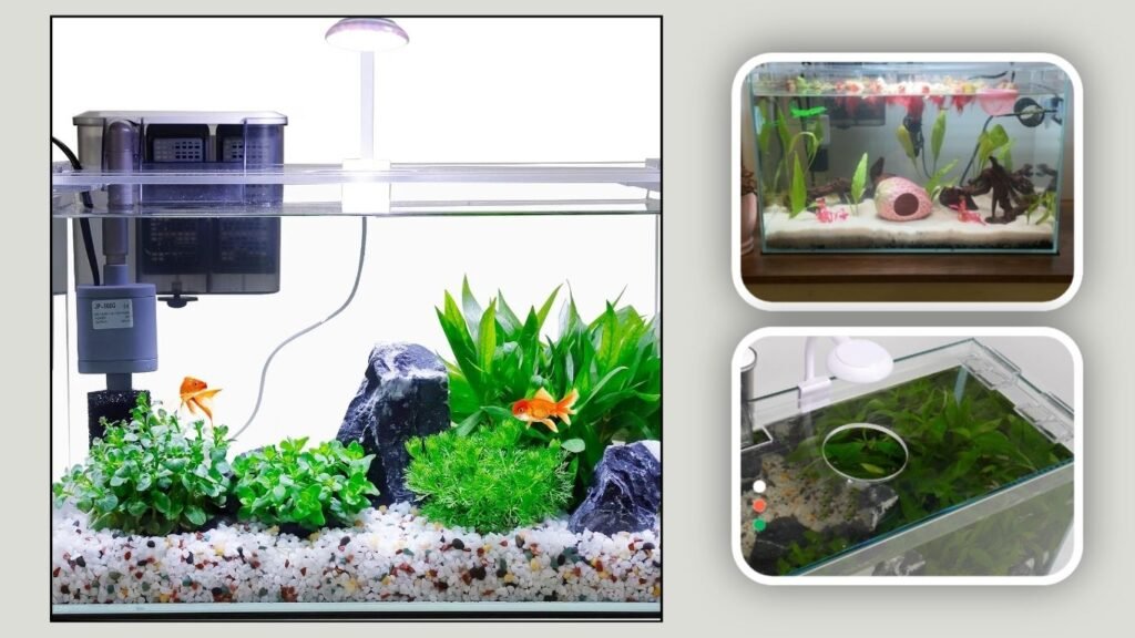 Glass Aquarium Starter Kit With Filter & Lights