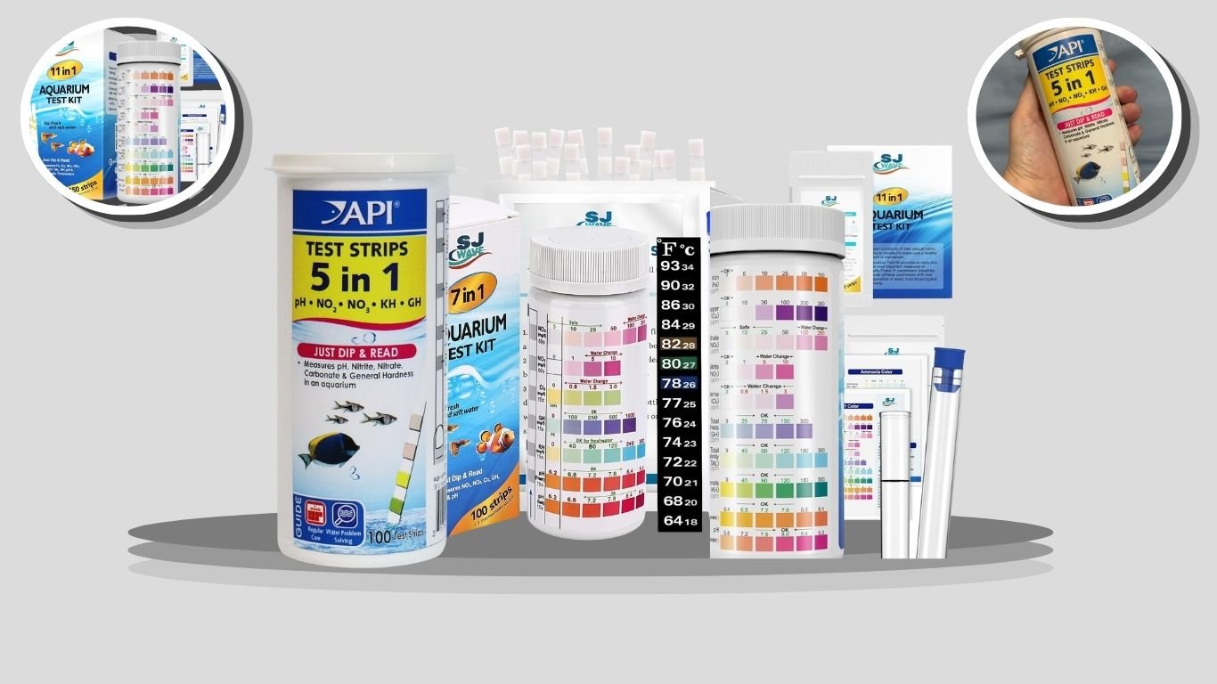 5 Best Aquarium Water Test Kits for Accurate Water Testing