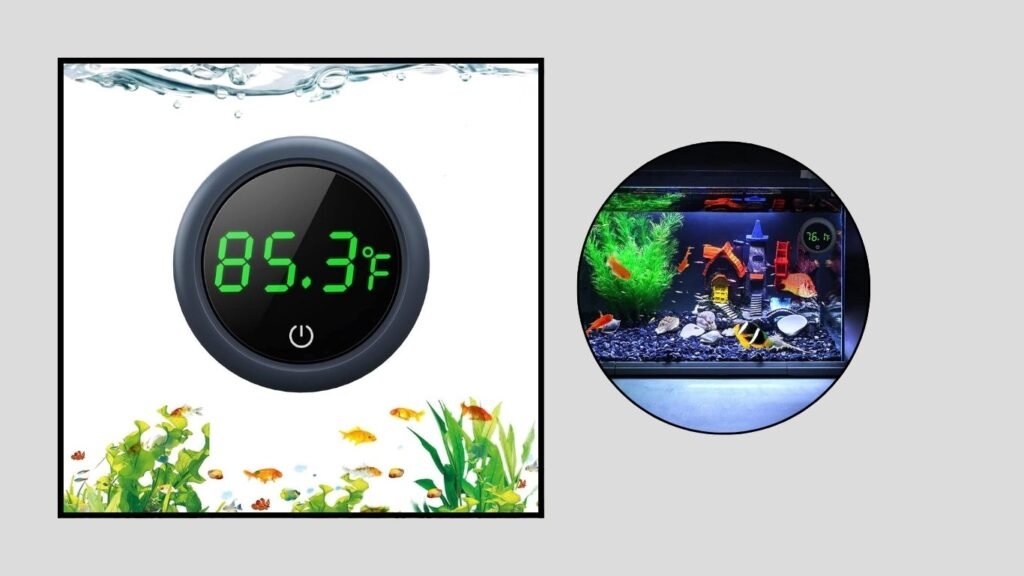 PAIZOO Digital Aquarium Thermometer