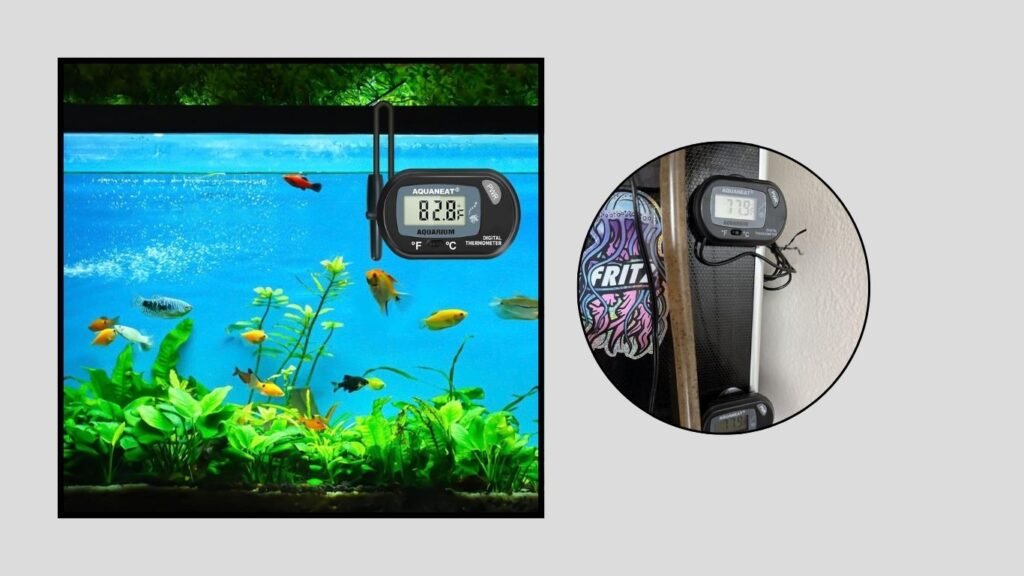 AQUANEAT Digital Aquarium Thermometer