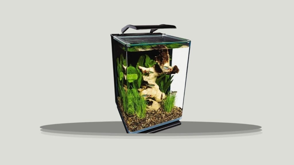 Marineland Portrait 5-Gallon Aquarium