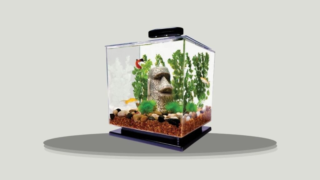 Tetra Shaped Gallon Aquarium With Pedestal