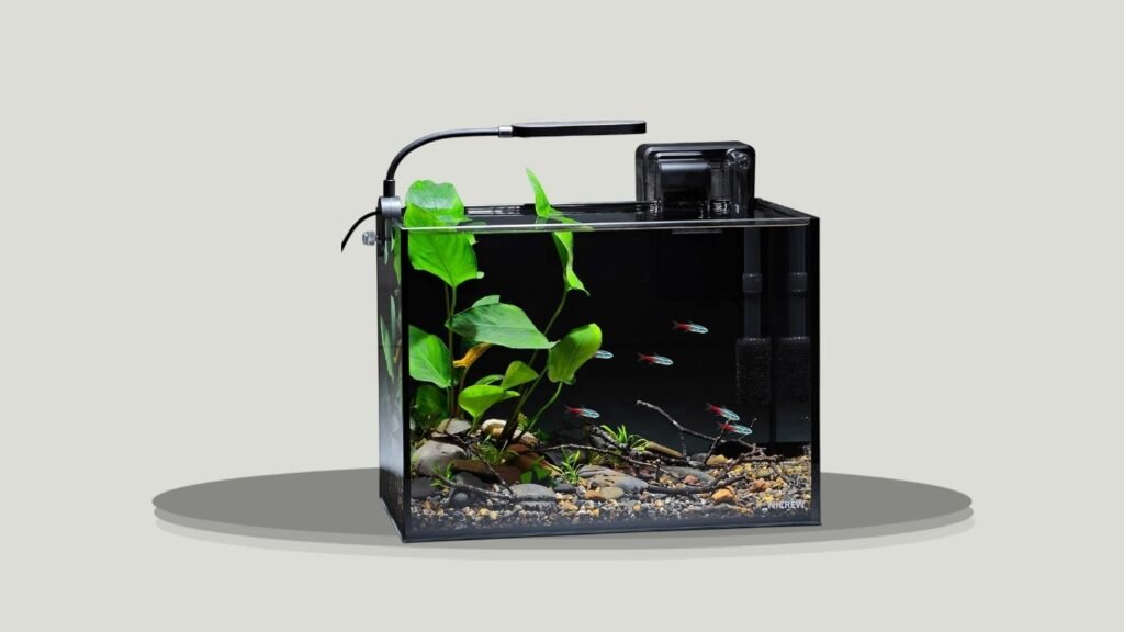 NICREW Ultra-Clear Rimless Nano Desktop Aquarium