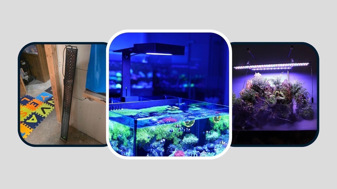 11 Best Aquarium LED Lights for Fish and Planted Tanks