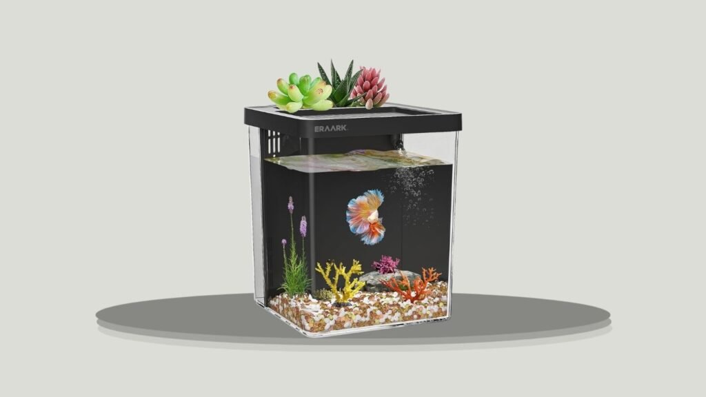 10. ERAARK Gallon Aquarium Starter Kit With Filter