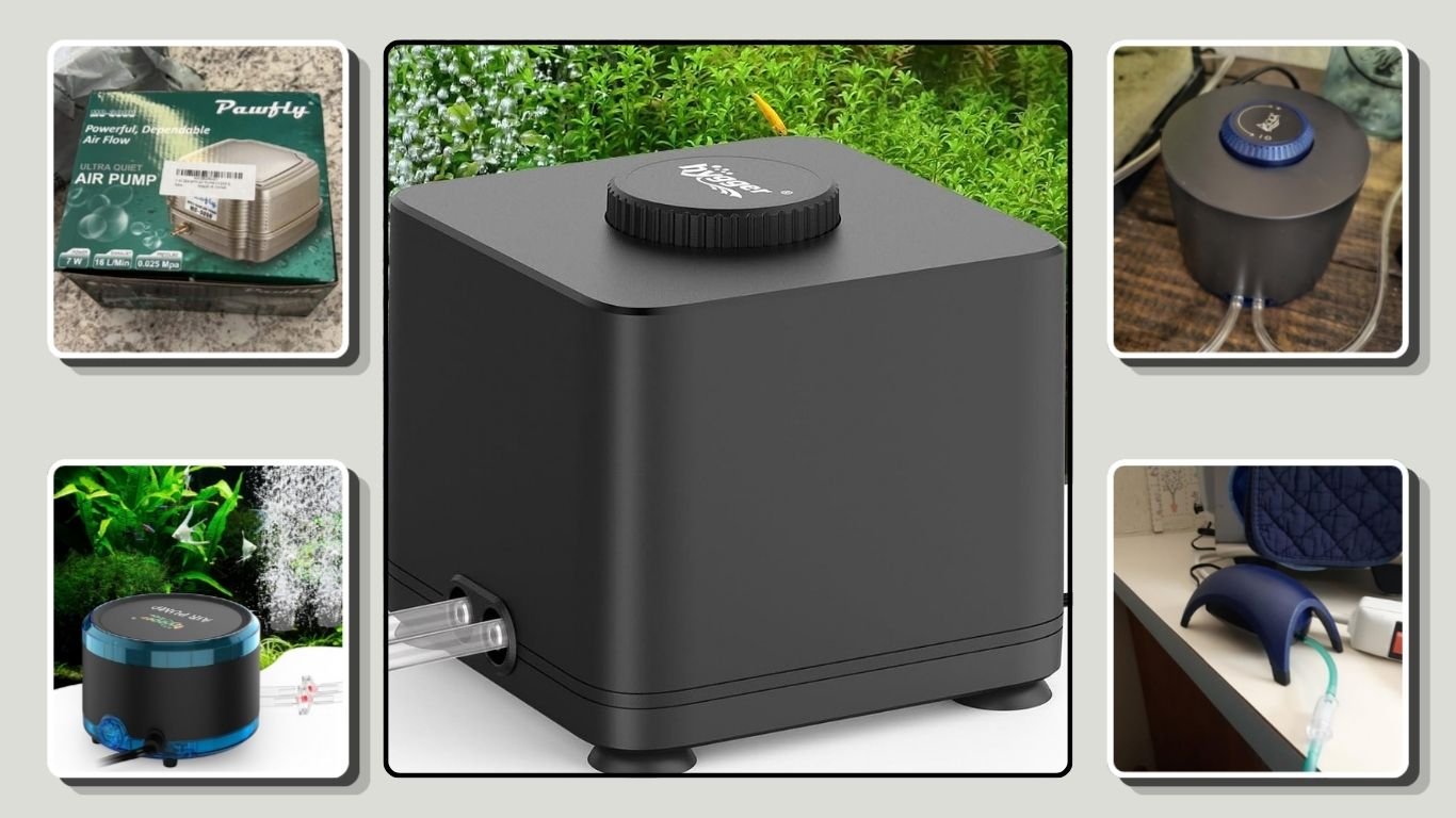 6 Best Aquarium Air Pumps for Reliable Tank Aeration