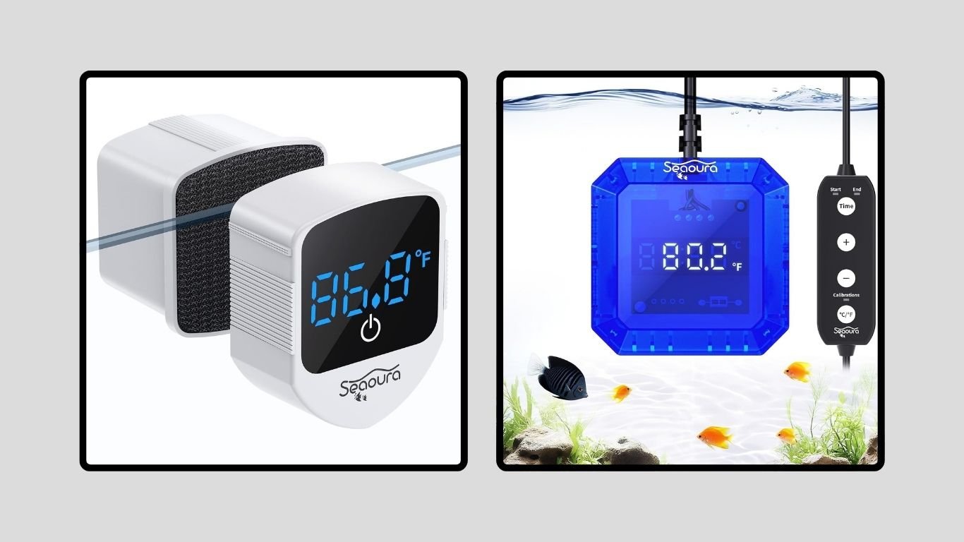 12 Best Digital Aquarium Thermometers for Accurate Readings