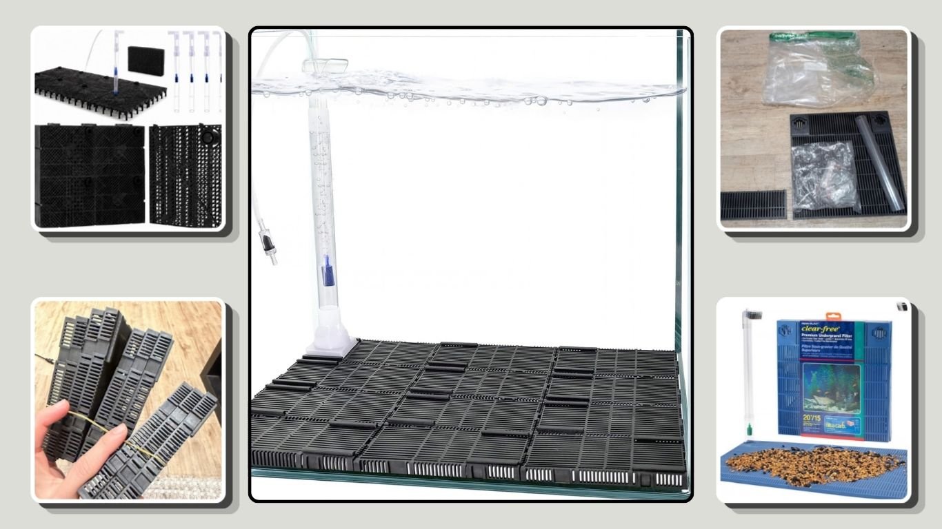 8 Best Undergravel Aquarium Filters for Cleaner Tanks