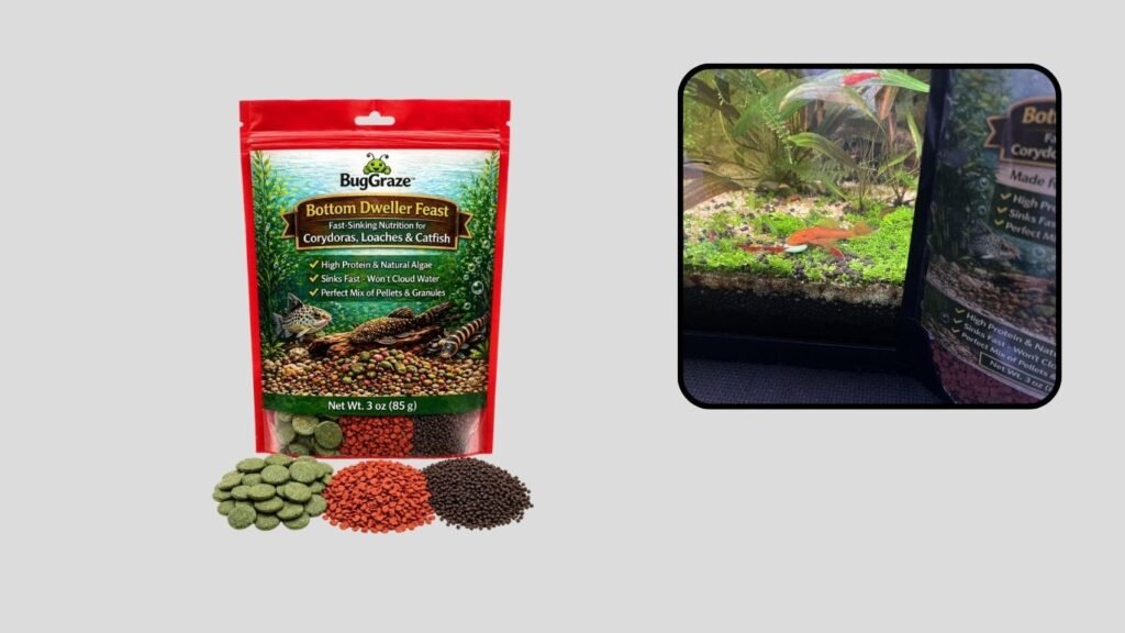BugGraze Bottom Dweller Sinking Granules