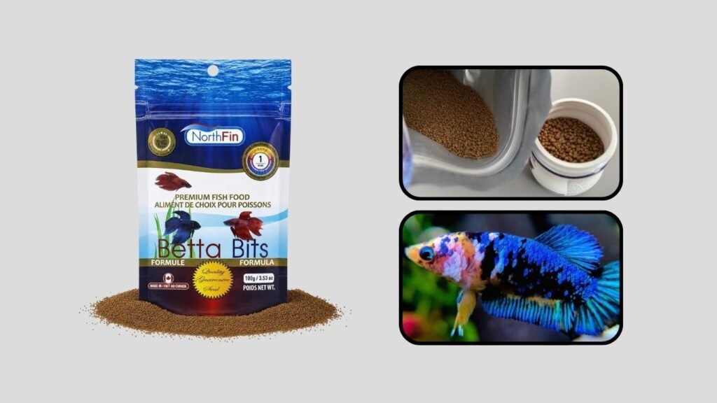NorthFin Betta Bits Pellets