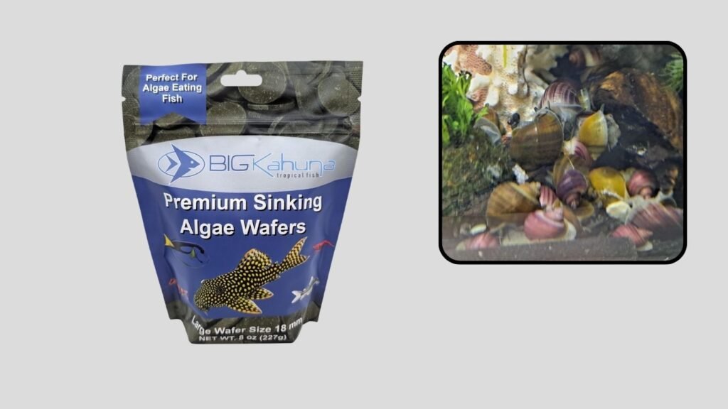 Big Kahuna Tropical Fish Food