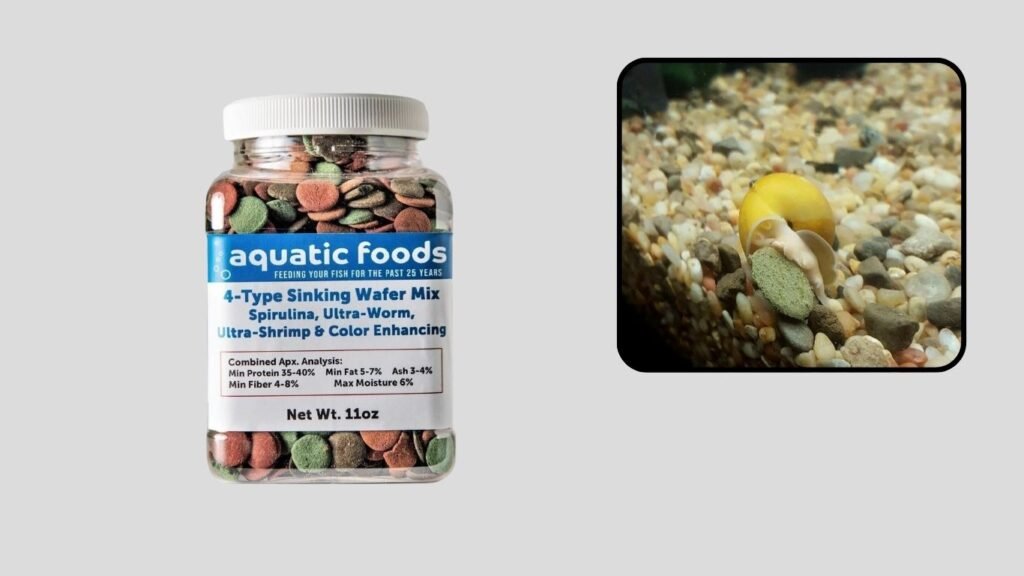 4-Type Sinking Bottom Feeder Tropical Fish Food