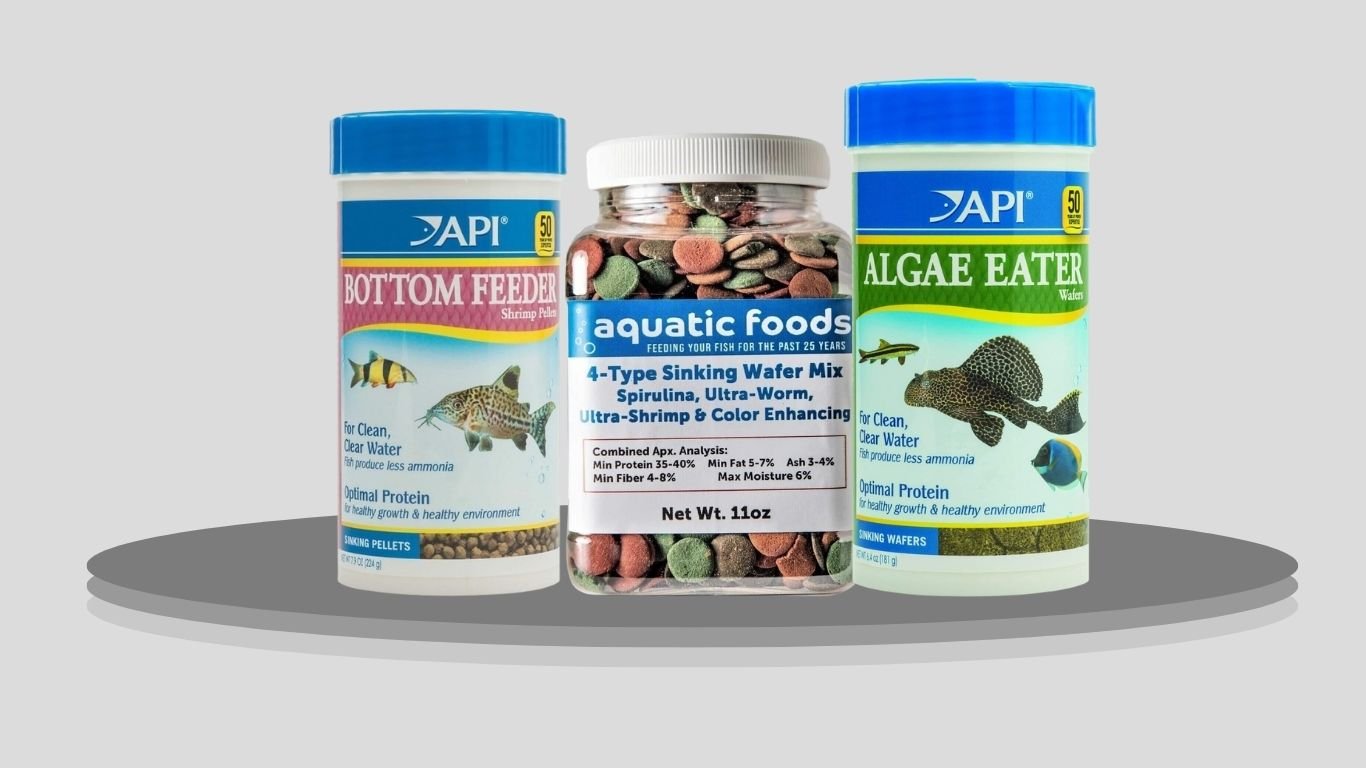 9 Best Bottom Feeder Fish Foods for Healthy Nutrition