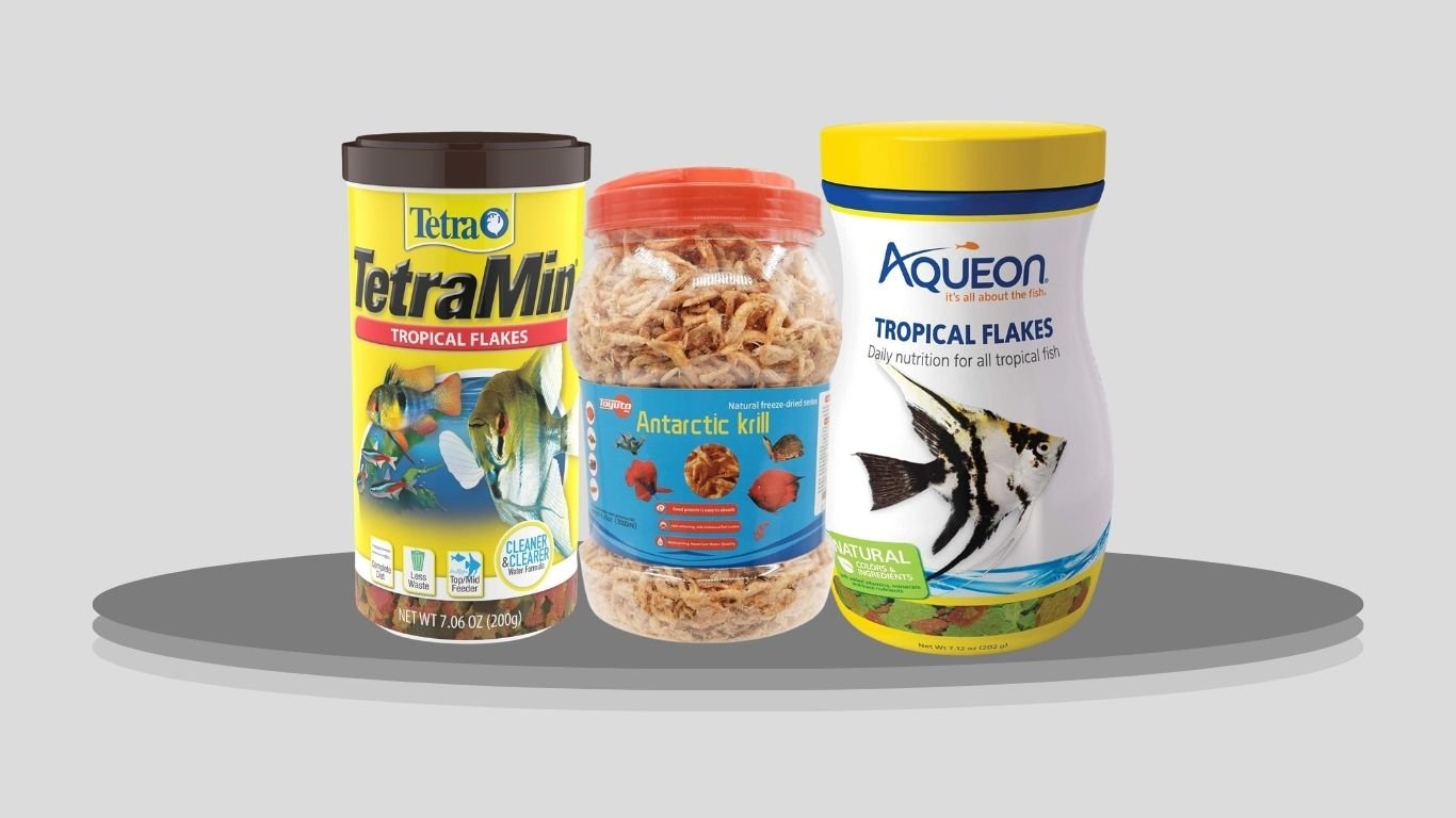 9 Best Tropical Fish Food for Healthy, Colorful Fish