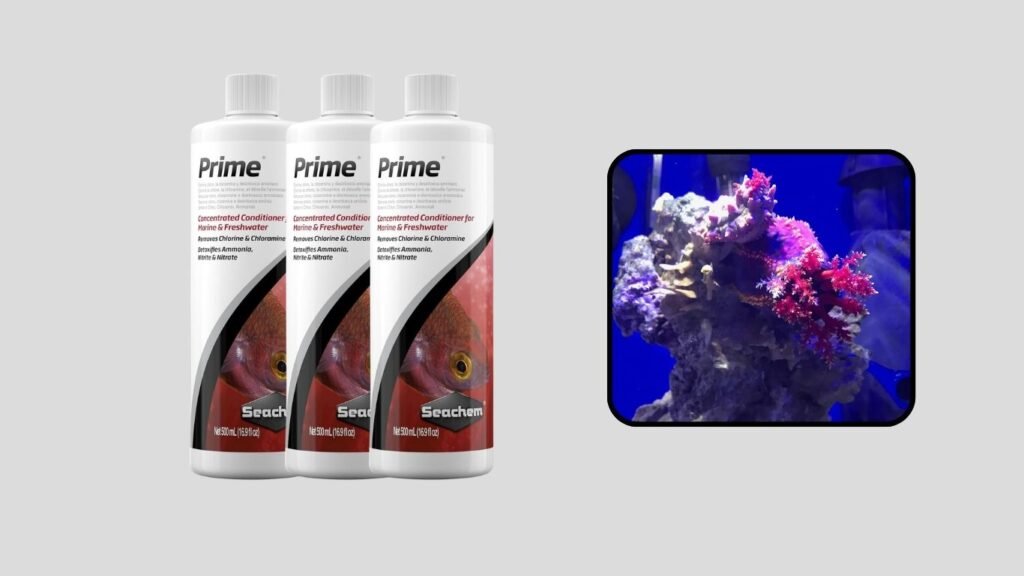 Seachem Prime Fresh & Saltwater Conditioner