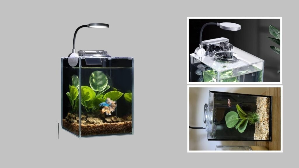 Desktop Aquarium Starter Kit with Self-Cleaning Design