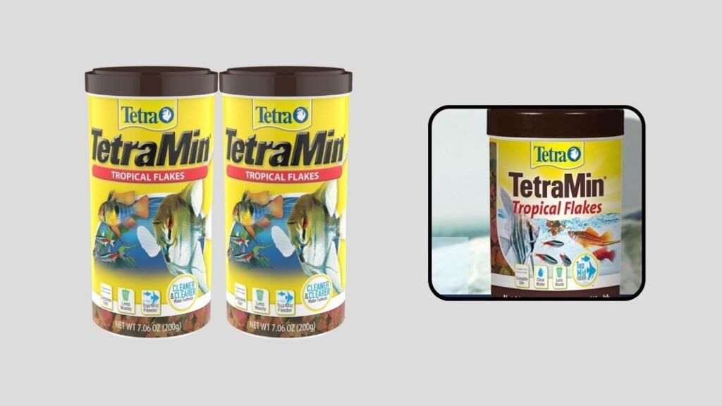 TetraMin Tropical Flakes