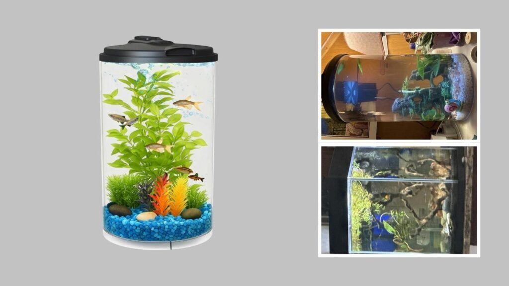  Koller Products 3-Gallon Crystal-Clear Desktop Aquarium