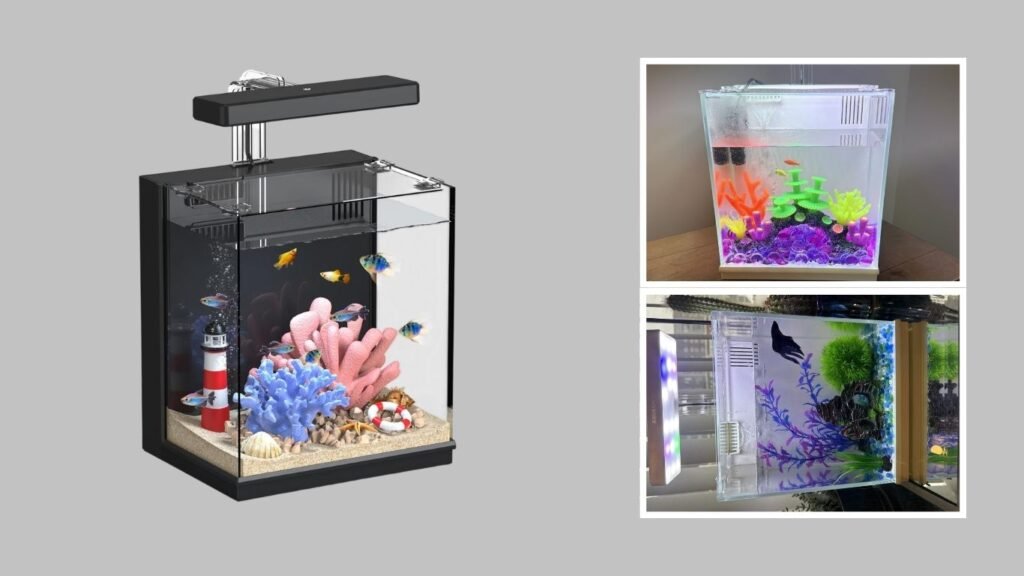 AQUASMITH Desktop Aquarium Starter Kit