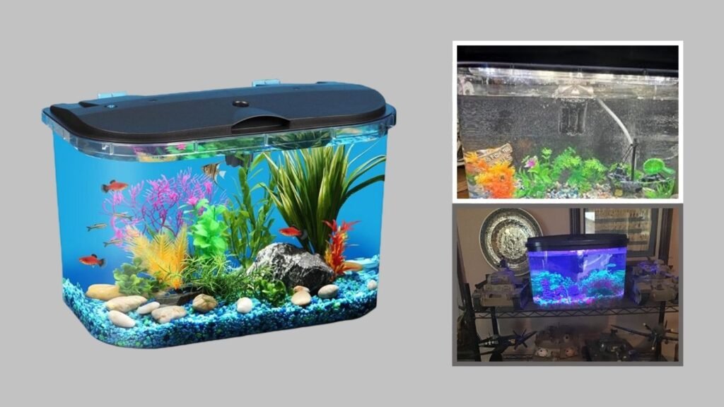 Koller Products Panaview 5-Gallon Aquarium Kit