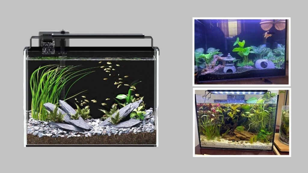 10. Rimless Self-Cleaning Aquarium Starter Kit