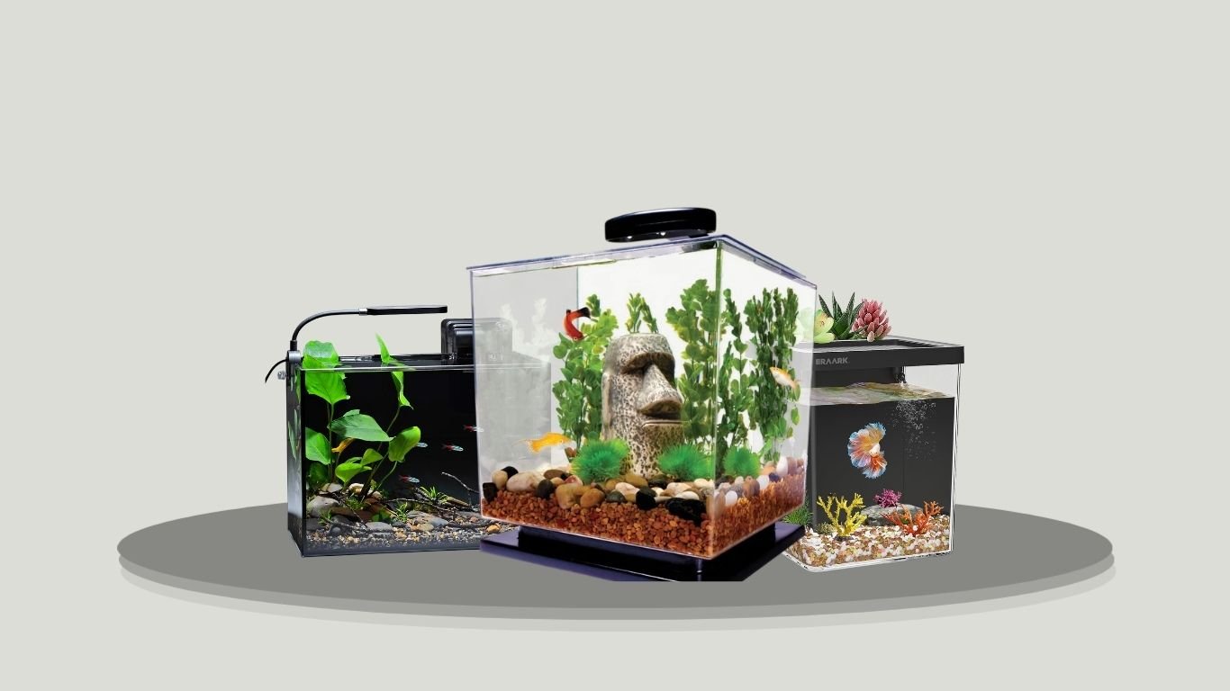 10 Best Betta Fish Tanks for Healthy and Stylish Aquariums