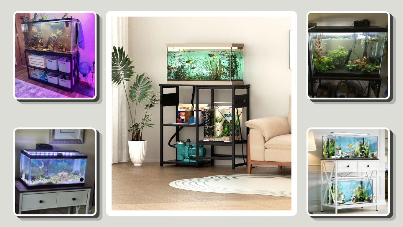 15 Best Aquarium Fish Tank Stands for Strong Support & Storage