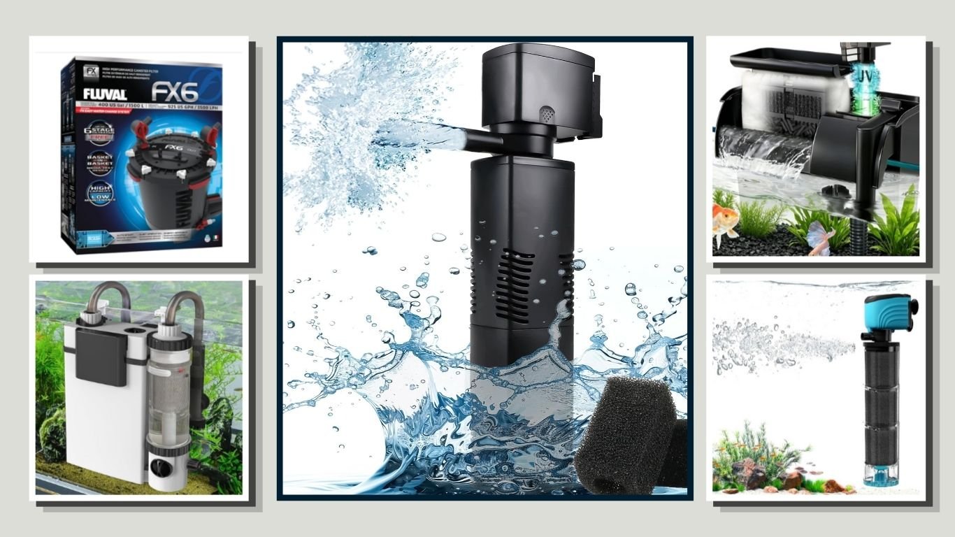 9 Best Fish Tank Filters for Clean and Healthy Aquariums
